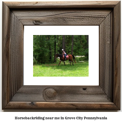 horseback riding near me in Grove City, Pennsylvania